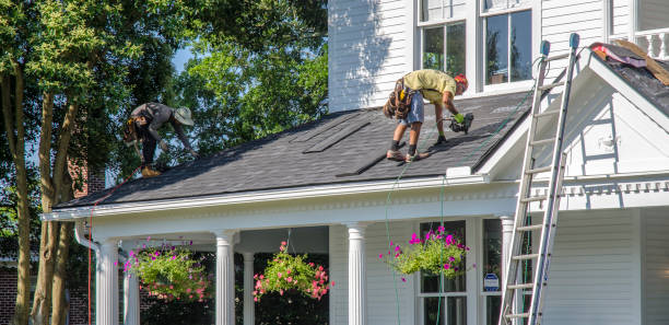 Best Gutter Installation and Roofing  in Hammond, LA